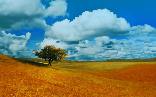 497434 (a): :1680x1050